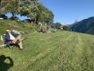 7_klein